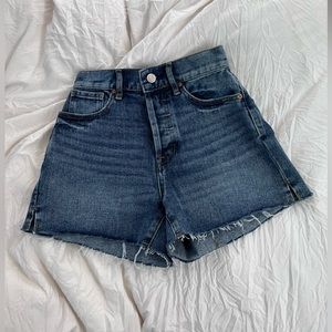 Pacsun High Rise Icon Short size 23